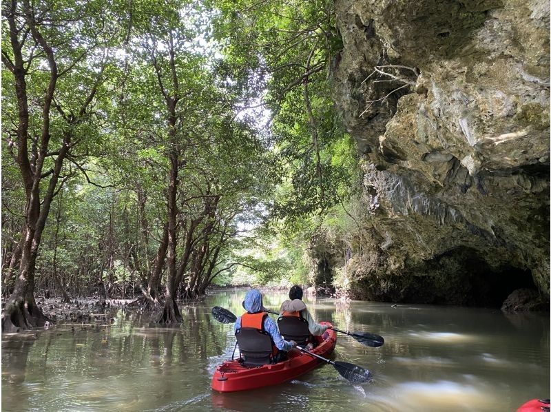 【石垣島・宮良川】島人ガイドがご案内！マングローブカヤック！◆超快適背もたれ付＆安心の少人数制◆【グループ割有り】【撮影データプレゼント】の紹介画像