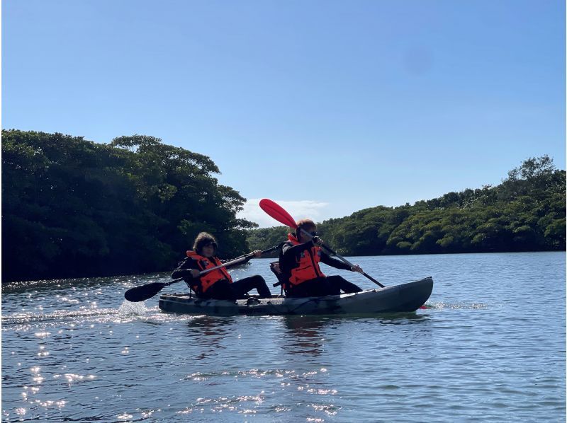 【石垣島/2時間】【通常プラン】背もたれ付で超快適♪宮良川マングローブカヤック！ファミリーやシニアにもおすすめ！【撮影付き】の紹介画像