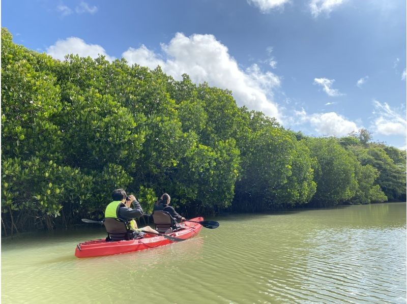 【石垣島・宮良川】島人ガイドがご案内！マングローブカヤック！◆超快適背もたれ付＆安心の少人数制◆【グループ割有り】【撮影データプレゼント】の紹介画像