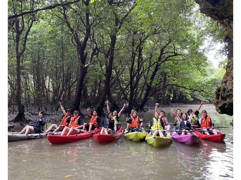 【石垣島・宮良川】島人ガイドがご案内！マングローブカヤック！◆超快適背もたれ付＆安心の少人数制◆【グループ割有り】【撮影データプレゼント】の紹介画像