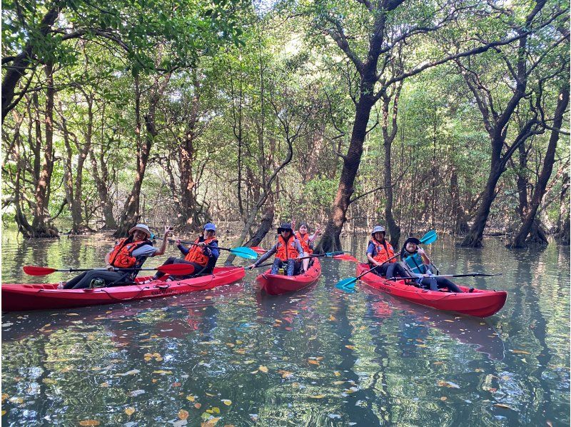 【石垣島・宮良川】島人ガイドがご案内！マングローブカヤック！◆超快適背もたれ付＆安心の少人数制◆【グループ割有り】【撮影データプレゼント】の紹介画像