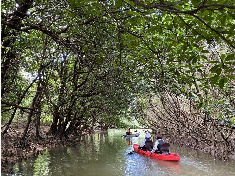 【石垣島・宮良川】人気スポットでマングローブカヤック！◆超快適背もたれ付＆安心の少人数制◆【グループ割有り】【撮影データプレゼント】の紹介画像