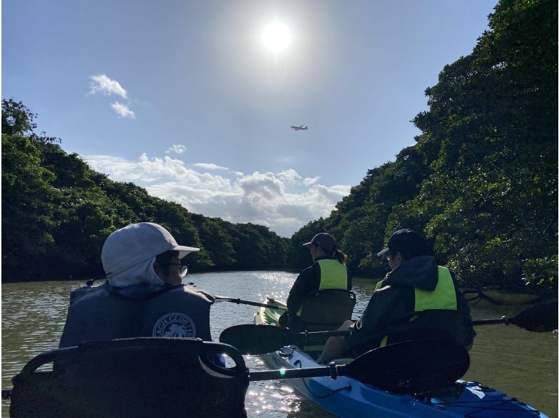 【石垣島・宮良川】島人ガイドがご案内！マングローブカヤック！◆超快適背もたれ付＆安心の少人数制◆【グループ割有り】【撮影データプレゼント】の紹介画像