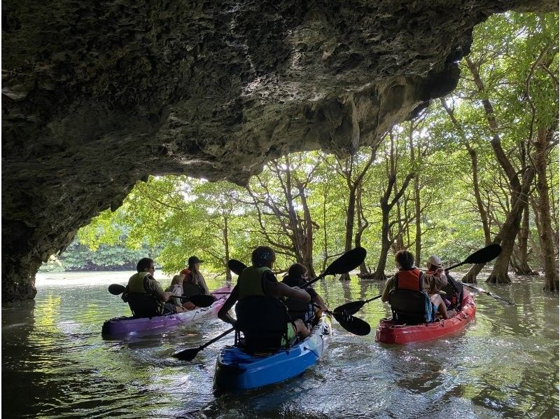 【石垣島・宮良川】人気スポットでマングローブカヤック！◆超快適背もたれ付＆安心の少人数制◆【グループ割有り】【撮影データプレゼント】の紹介画像