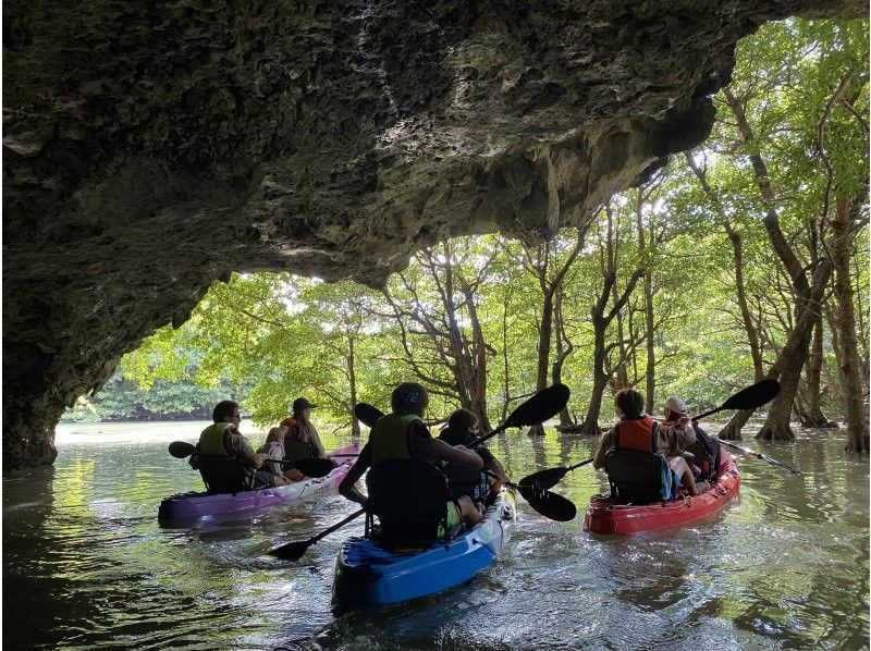【石垣島・宮良川】島人ガイドがご案内！マングローブカヤック！◆超快適背もたれ付＆安心の少人数制◆【グループ割有り】【撮影データプレゼント】の紹介画像