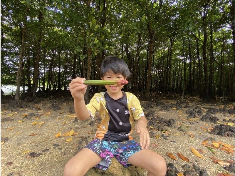 石垣島人気スポットで宮良川マングローブカヤック！★グループ割★４名様以上で１人3,500円◆安心の少人数制＆背もたれ＆撮影付き◆の紹介画像