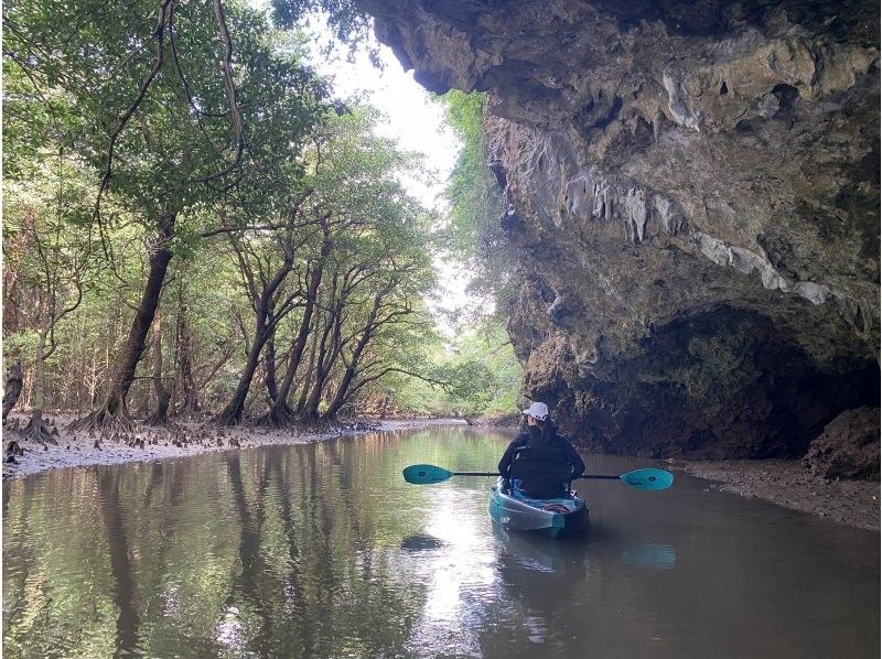 【石垣島・宮良川】人気スポットでマングローブカヤック！◆超快適背もたれ付＆安心の少人数制◆【グループ割有り】【撮影データプレゼント】の紹介画像