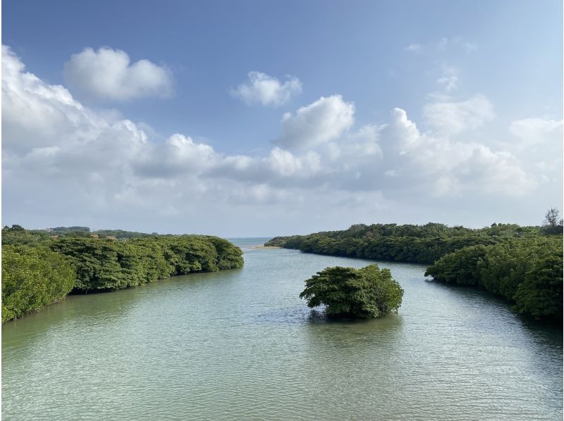 【石垣島・宮良川】人気スポットでマングローブカヤック！◆超快適背もたれ付＆安心の少人数制◆【グループ割有り】【撮影データプレゼント】の紹介画像