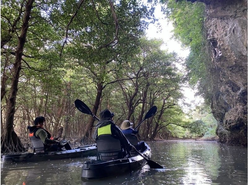 【石垣島・宮良川】島人ガイドがご案内！マングローブカヤック！◆超快適背もたれ付＆安心の少人数制◆【グループ割有り】【撮影データプレゼント】の紹介画像