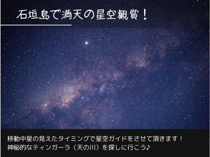 【石垣島/夜】１組限定♪南の島の生き物×星空！今人気の欲張りナイトサファリツアー♪の紹介画像