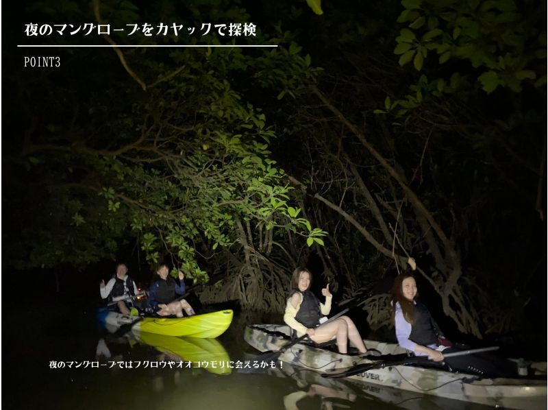 【石垣島/２時間】☆煌びやかなサンセット&times;夜のマングローブ&times;星空ナイトカヤック☆わくわくの大人気欲張体験ツアー♪【宮良川出発】の紹介画像