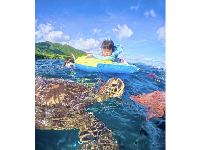 Same-day OK [2 hours] Overwhelming sea turtle encounter rate of 99.99% [8 trips per day] Snorkeling where you can see lots of tropical fish and clownfish! Free transportation, equipment, and photosの紹介画像