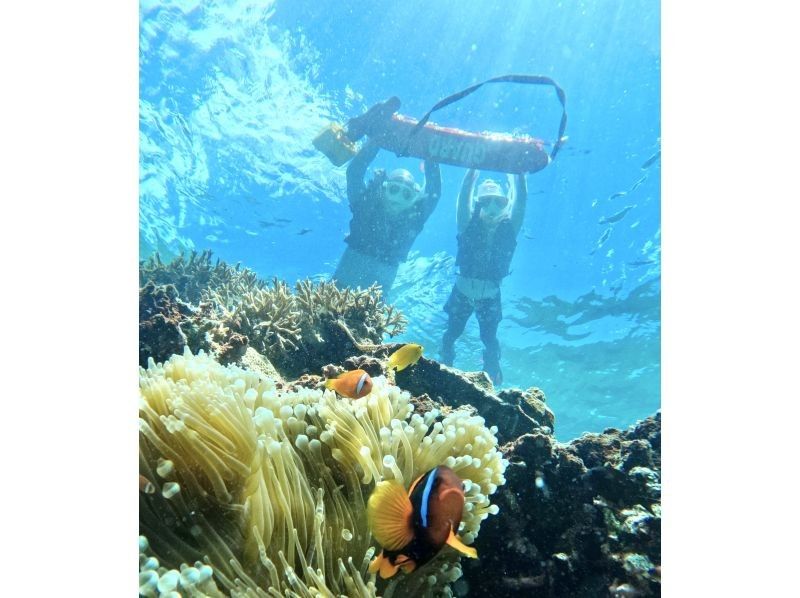 石垣島《圧倒的ウミガメ遭遇率99.99%更新中！ 》大満足シュノーケル！たくさんの熱帯魚やクマノミに会える『送迎・機材・写真データ全て無料の紹介画像