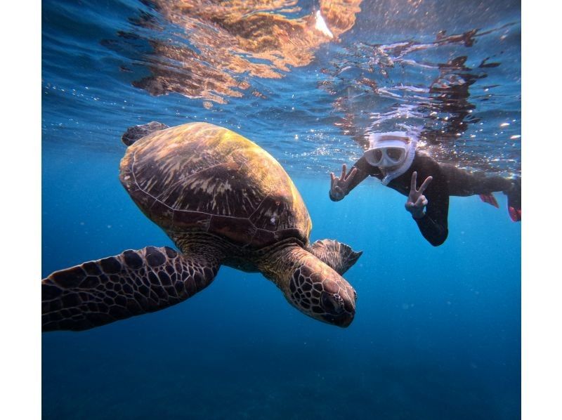 Same-day OK [2 hours] Overwhelming sea turtle encounter rate of 99.99% [8 trips per day] Snorkeling where you can see lots of tropical fish and clownfish! Free transportation, equipment, and photosの紹介画像