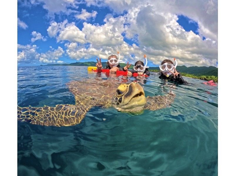 Same-day OK [2 hours] Overwhelming sea turtle encounter rate of 99.99% [8 trips per day] Snorkeling where you can see lots of tropical fish and clownfish! Free transportation, equipment, and photosの紹介画像