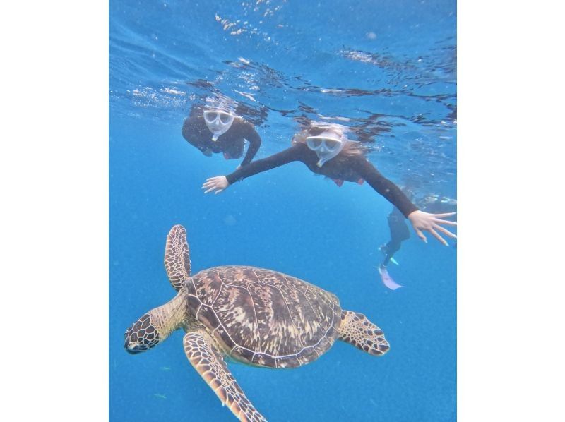 ★Student discount [OK on the day] 99.99% chance of encountering sea turtles! [Lowest price in the industry ★ Ages 3 and up can participate] Snorkel to see Nemo and lots of tropical fish! Free pick-up and drop-off, photosの紹介画像