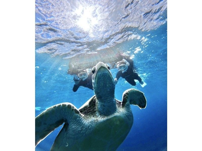 Same-day OK [2 hours] Overwhelming sea turtle encounter rate of 99.99% [8 trips per day] Snorkeling where you can see lots of tropical fish and clownfish! Free transportation, equipment, and photosの紹介画像