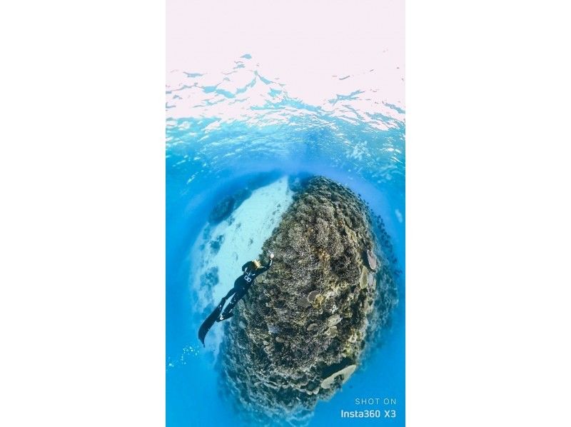 Swim with turtles [Onna village Nakayukui] Beach entry skin divingの紹介画像
