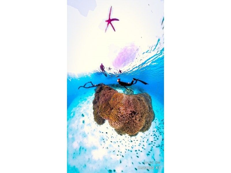 Swim with turtles [Onna Village Nakayukui] Beach entry skin diving (for beginners)の紹介画像