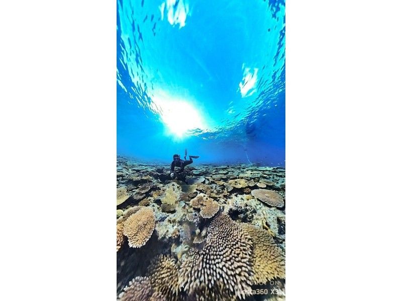 Swim with turtles [Onna Village Nakayukui] Beach entry skin diving (for beginners)の紹介画像