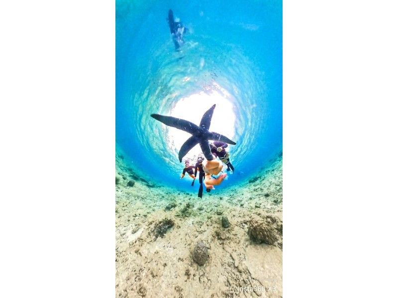 Swim with turtles [Onna Village Nakayukui] Beach entry skin diving (for beginners)の紹介画像