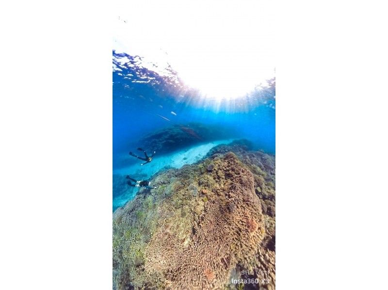 Swim with turtles [Onna Village Nakayukui] Beach entry skin diving (for beginners)の紹介画像