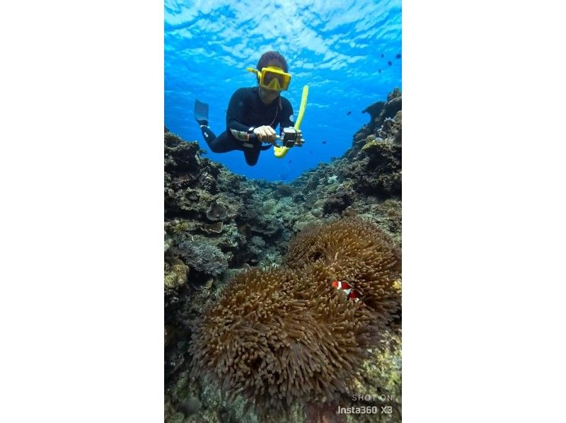 Swim with turtles [Onna Village Nakayukui] Beach entry skin diving (for beginners)の紹介画像