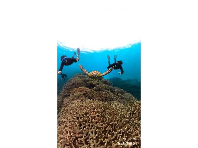 Swim with turtles [Onna Village Nakayukui] Beach entry skin diving (for beginners)の紹介画像