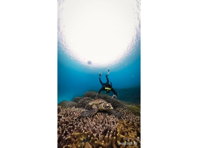 Swim with turtles [Onna Village Nakayukui] Beach entry skin diving (for beginners)の紹介画像
