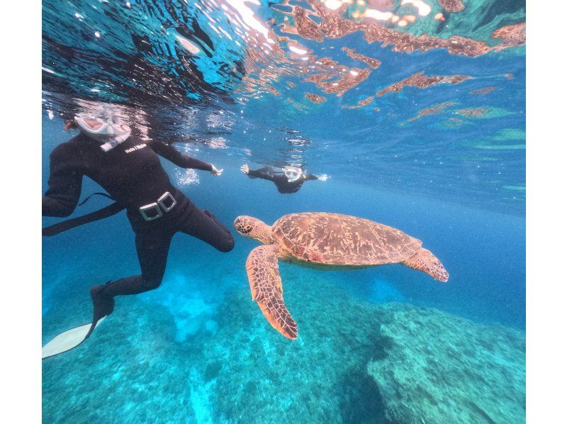Swim with turtles [Onna Village Nakayukui] Beach entry skin diving (for beginners)の紹介画像