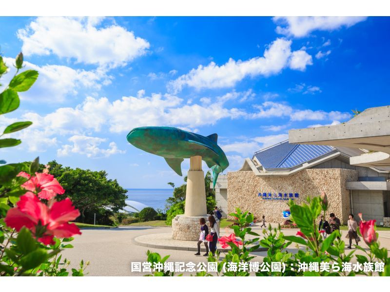 [Okinawa/Naha] Okinawa Churaumi Aquarium ticket | Naha HIS LeaLea lounge exchangeの紹介画像
