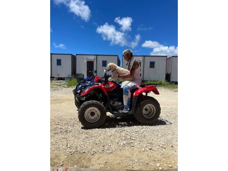 [Okinawa/Miyakojima] Very popular! Buggy tour! 120 minutes of maximum excitement!の紹介画像