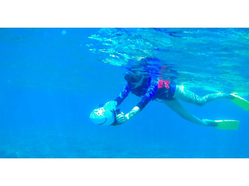 [เกาะยากาจิ/เกาะโคริ] พบกับปลาน่ารัก ♡การดำน้ำตื้น(Snorkeling)の紹介画像