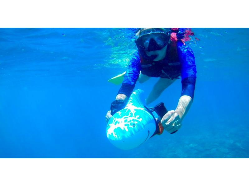[เกาะยากาจิ/เกาะโคริ] พบกับปลาน่ารัก ♡การดำน้ำตื้น(Snorkeling)の紹介画像