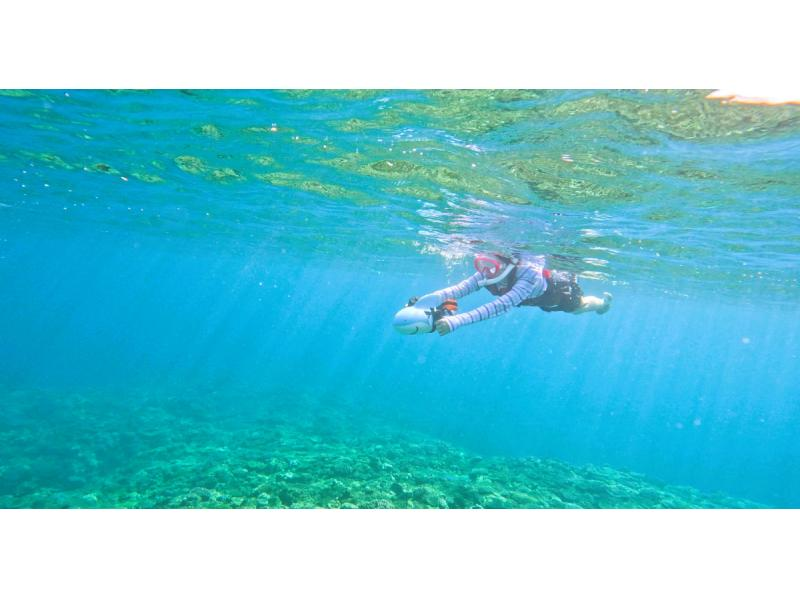 [Yagaji Island/Kouri Island] Meet cute fish ♡ Snorkelingの紹介画像