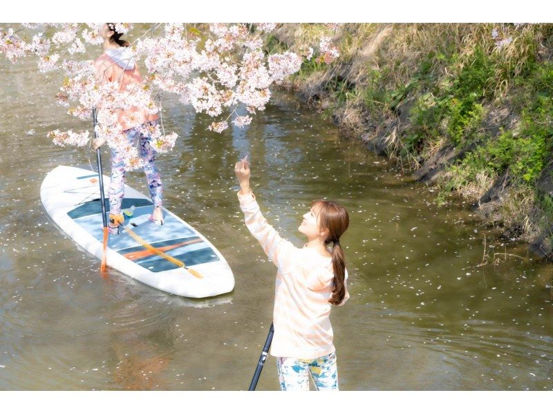 [Limited time only] Cherry blossom viewing SUP experience tour to the water village of Omihachiman! [2 hour course]の紹介画像
