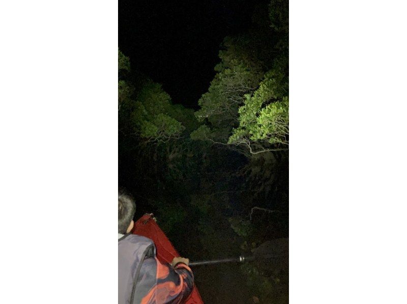 奄美大島【当日予約可能】夜のマングローブカヌー（60分）奄美大島の自然を満喫！※口コミ投稿で撮影データ無料プレゼント※お一人様歓迎！！の紹介画像