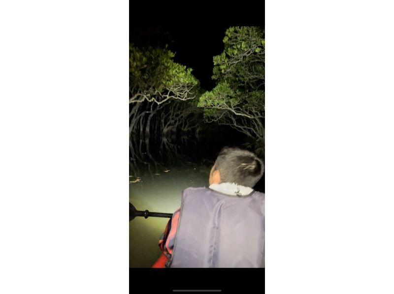 奄美大島【当日予約可能】夜のマングローブカヌー（60分）奄美大島の自然を満喫！※口コミ投稿で撮影データ無料プレゼント※お一人様歓迎！！の紹介画像