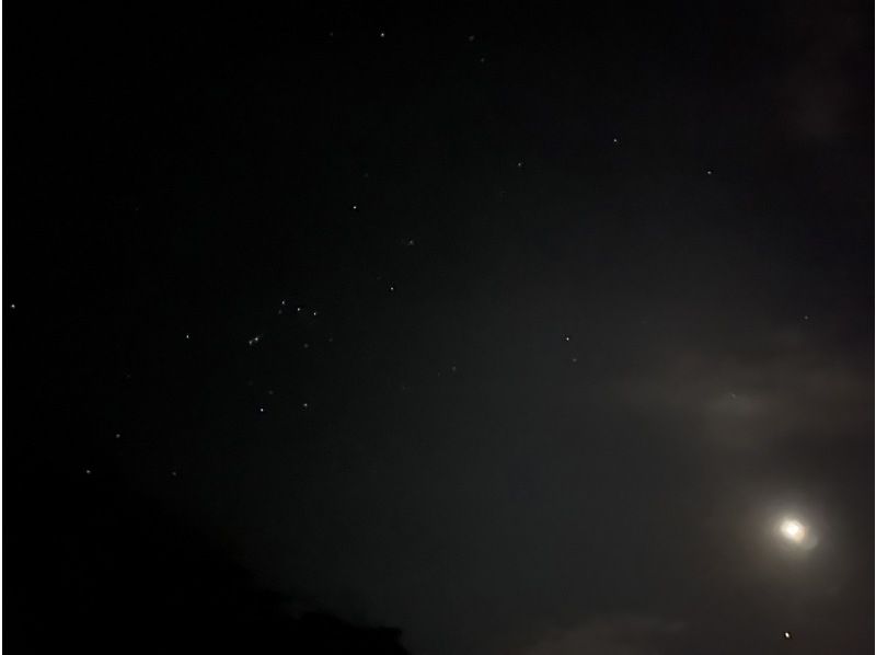 奄美大島【当日予約可能】夜のマングローブカヌー（60分）奄美大島の自然を満喫！※口コミ投稿で撮影データ無料プレゼント※お一人様歓迎！！の紹介画像