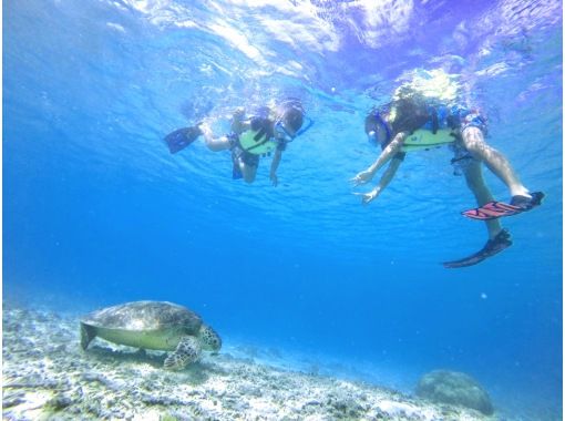 【那覇発/慶良間日帰り】チャータークルーザーで行く!慶良間諸島『渡嘉敷島』とかしくビーチ海水浴ツアー 【那覇発/慶良間日帰り】チャータークルーザーで行く!慶良間諸島『渡嘉敷島』とかしくビーチ海水浴ツアー