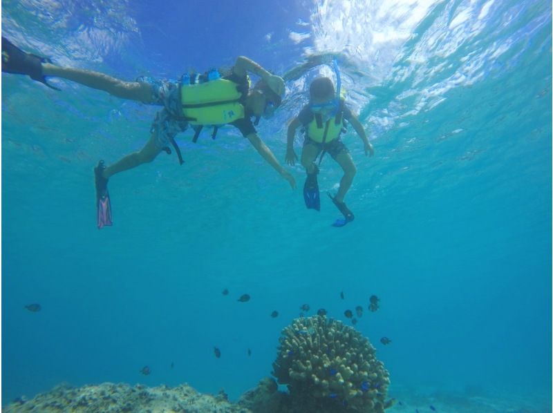 【那覇発／慶良間日帰り】チャータークルーザーで行く！慶良間諸島『渡嘉敷島』とかしくビーチ海水浴ツアーの紹介画像