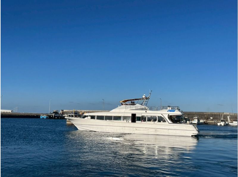 【那覇発／慶良間日帰り】チャータークルーザーで行く！慶良間諸島『渡嘉敷島』とかしくビーチ海水浴ツアーの紹介画像