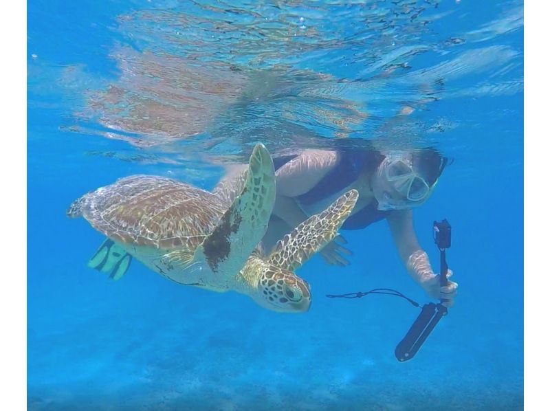 【那覇発／慶良間日帰り】チャータークルーザーで行く！慶良間諸島『渡嘉敷島』海がめシュノーケリングツアーの紹介画像