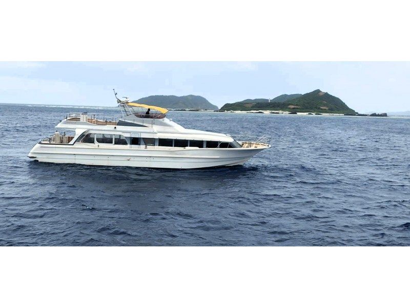 【那覇発／慶良間日帰り】チャータークルーザーで行く！慶良間諸島『渡嘉敷島』海がめシュノーケリングツアーの紹介画像