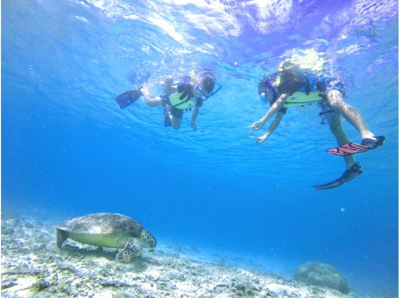 【那覇発／慶良間日帰り】チャータークルーザーで行く！慶良間諸島『渡嘉敷島』海がめシュノーケリングツアーの紹介画像