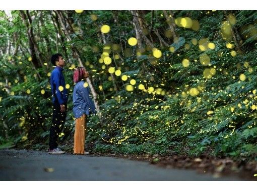 【石垣島】ネイティブガイドが案内 2026年3月〜5月期間限定 ヤエヤマヒメボタルの乱舞+星空鑑賞+満天の星空フォトツアー 【石垣島】ネイティブガイドが案内 2026年3月〜5月期間限定 ヤエヤマヒメボタルの乱舞+星空鑑賞+満天の星空フォトツアー