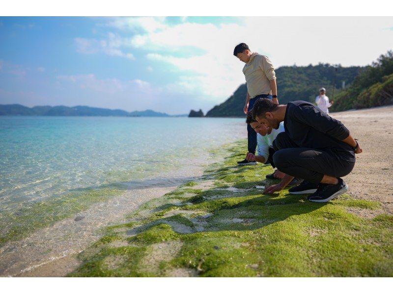 【沖縄・那覇】 慶良間ブルーを堪能するサイクリングツアー＜阿嘉島コース＞の紹介画像