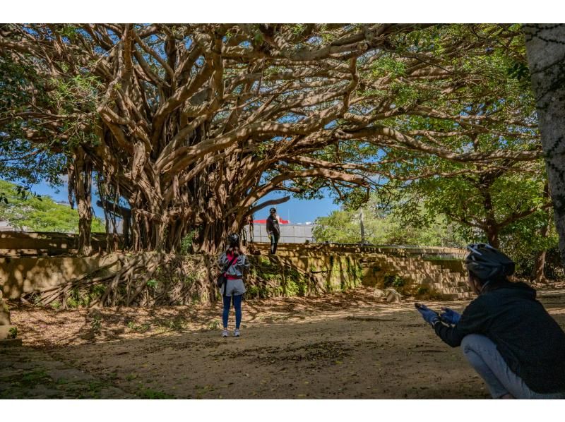 [Okinawa/Naha] Guided cycling tour <Urasoe course>の紹介画像