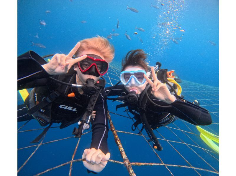 【読谷村】ジンベエザメと体験ダイビング★水族館を超える感動と迫力！GoPro撮影データ全てプレゼント！の紹介画像