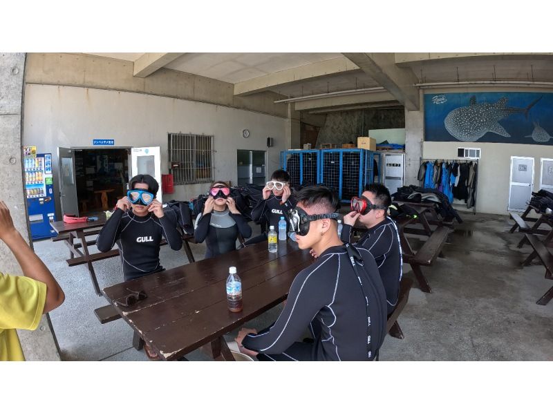 【読谷村】ジンベエザメと体験ダイビング★水族館を超える感動と迫力！GoPro撮影データ全てプレゼント！の紹介画像